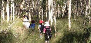 Review for Edible School Gardens DVD