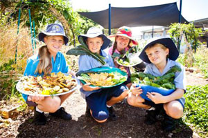 Edible School Gardens