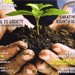 Wellbeing Organic Gardening Article 'Don't Dig It'