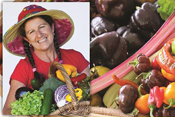 Brisbane Tomato Festival