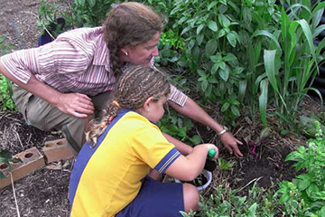 Permaulture school garden village – Children's Festival