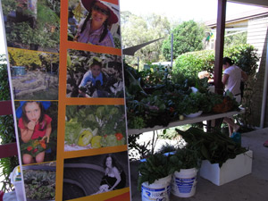 Gardening Sustainably in Your School