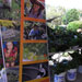 Gardening Sustainably in Your School