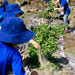 Participating School Gardens Successful School Garden Projects