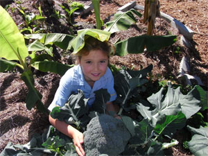 Students Enjoy Fruits of Their Labours